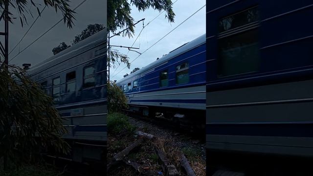 Туристический поезд "Сочи"