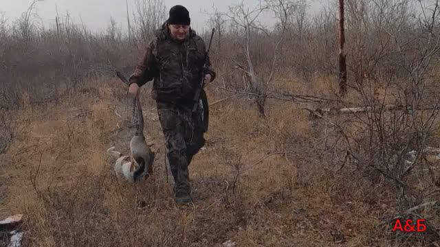 Алтай добыл гуся💪 Охота в Норильске 25.09.2022