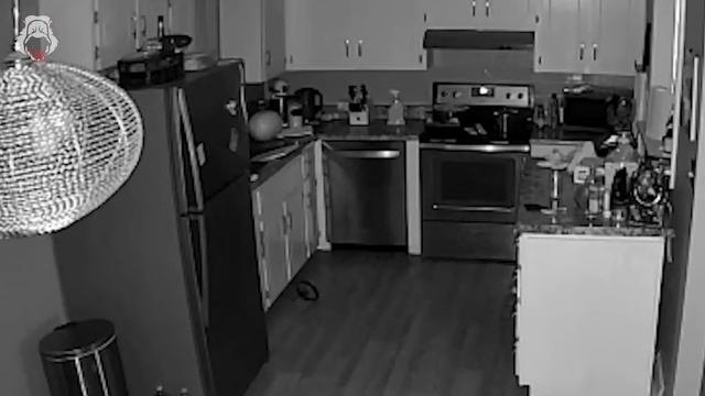 5 SCARY Videos Even Paranormal Experts FEAR