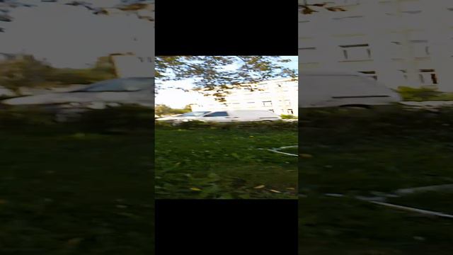 VID_20240829_102850.mp4