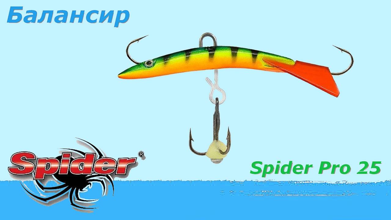 Обзор балансира Spider Pro 25