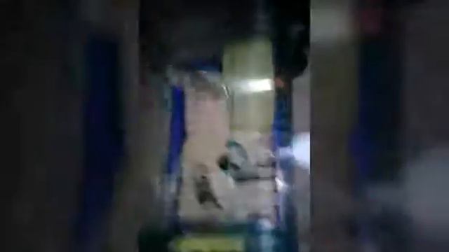 Що можна і що не можна їсти джунгарикам