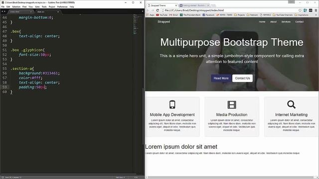 Custom Bootstrap Theme   Part B