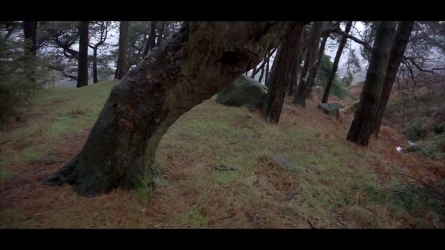 Glidecam Test - HD1000 with a Sony Nex-6 at Ilkley Moor Waterfall