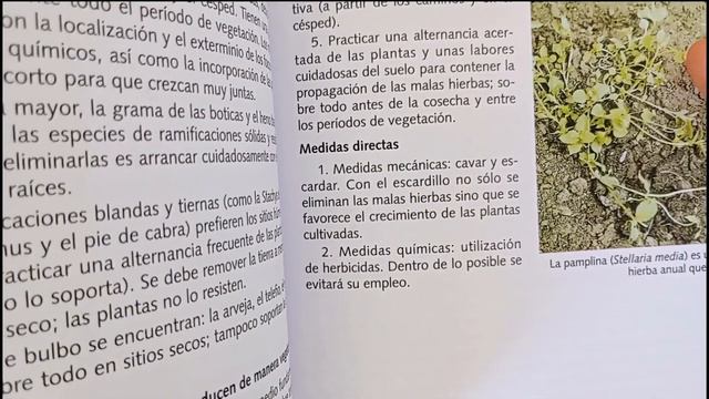 Libro Enciclopedia de jardinería y plantas de jardín