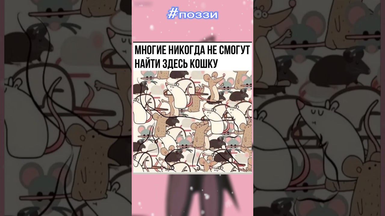 Поиск  #позитив #поззи #актив #юмор #доброеутро