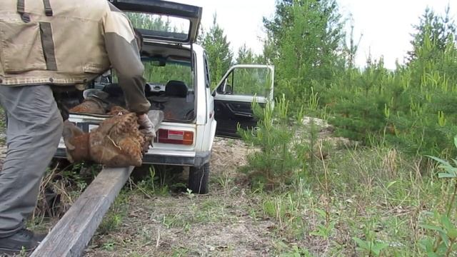 Интересные находки. Четыре шарошки