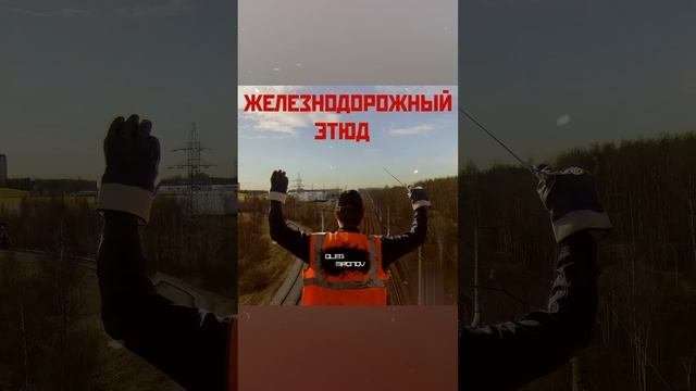 Oleg Mironov - Железнодорожный этюд #shorts PX