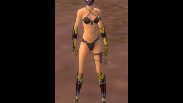 Guild Wars Nude Patch 1.1b Tutorial And Preview
