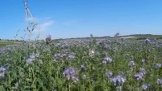 Почему книга Еноха не нравиться религиям