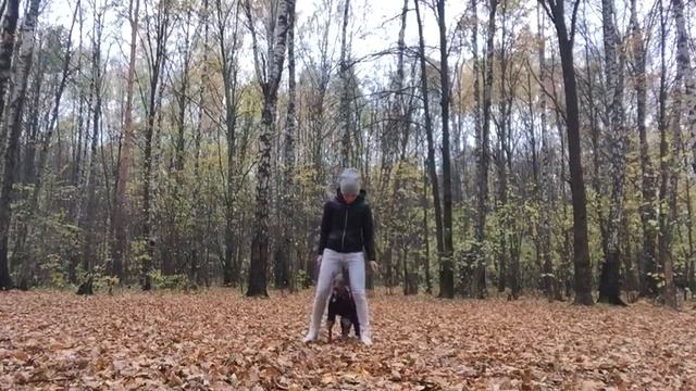 Roxy (Xoloitzcuintli)