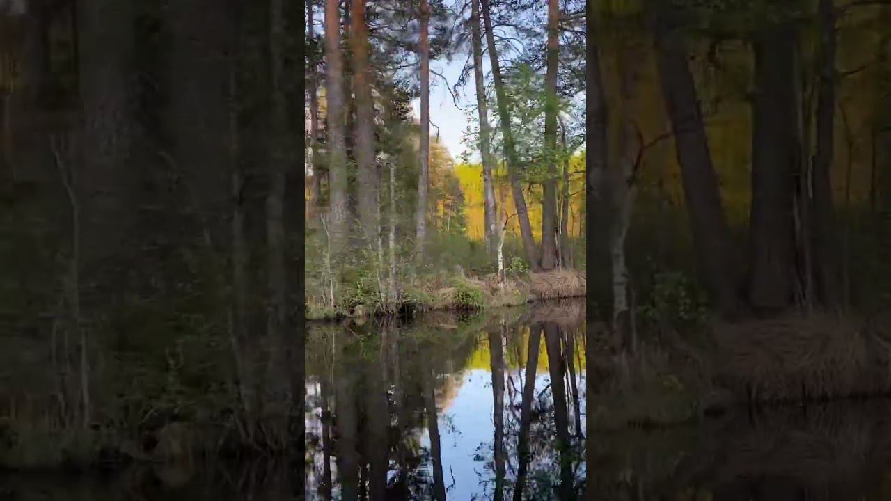 Закатное зеркало озера.