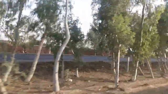 Tezgam Vs Trucks Cars and Specially Faisal Movers Daewoo Bus. Pakistan Railways Won the Race