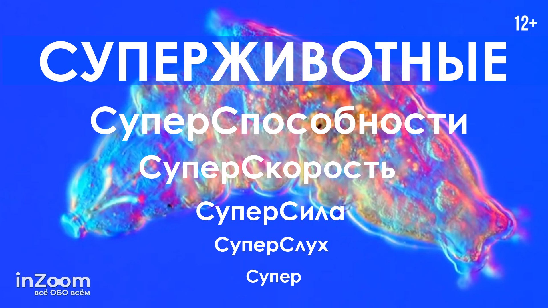 СУПЕРЖИВОТНЫЕ. Животные с уникальными способностями | inZoom 12+