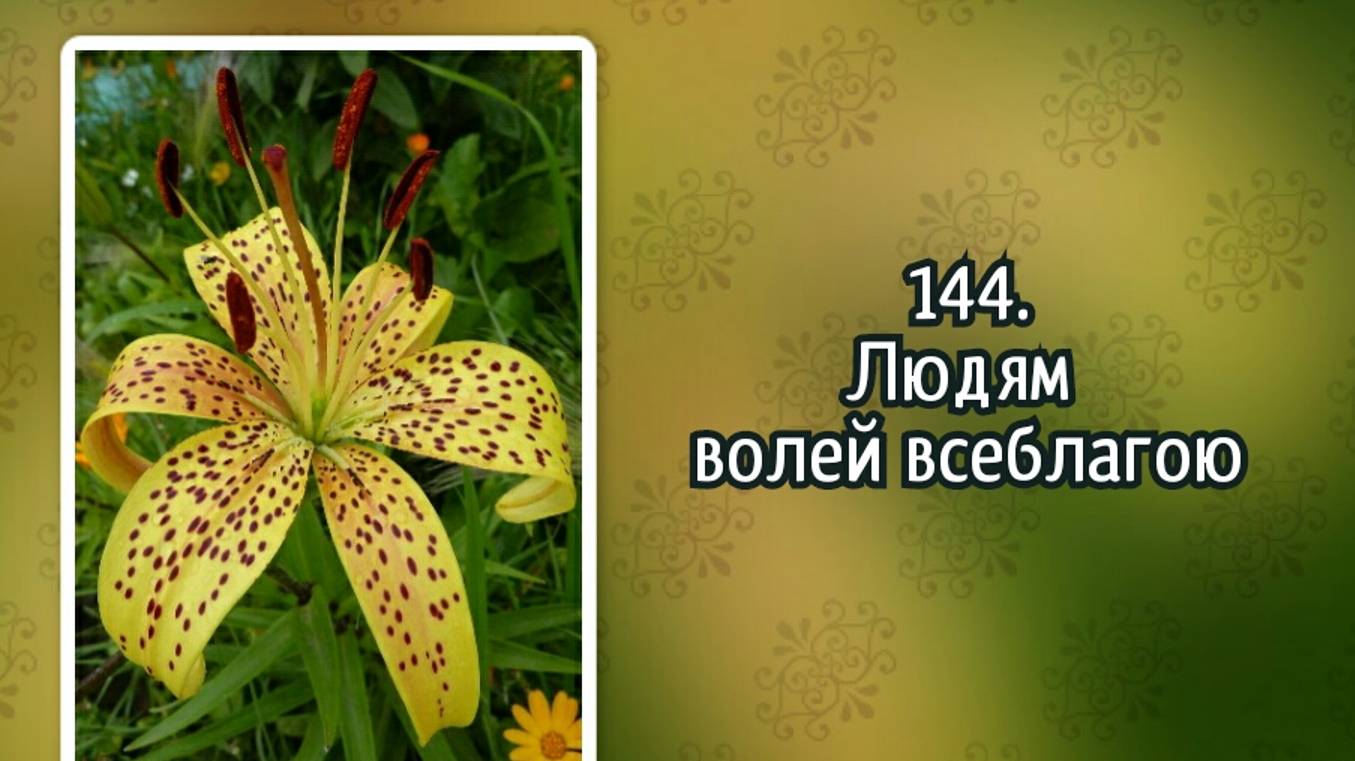 Гимны надежды 144 Людям волей всеблагою (-)