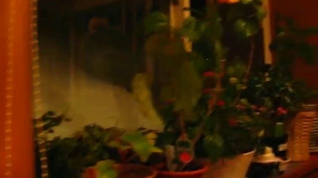 Андрей Викторов - Вип ужин в японском стиле