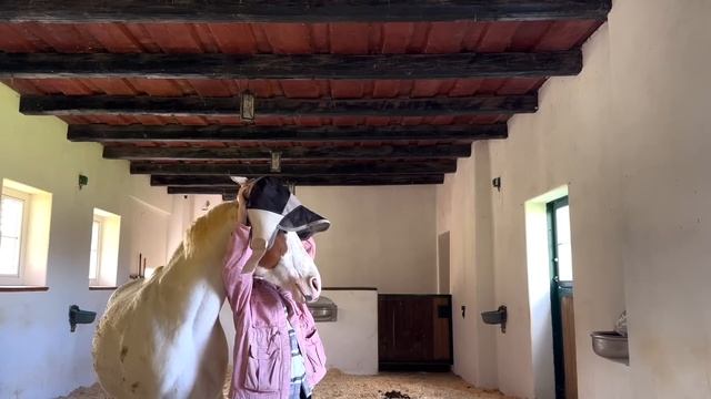 24H leben am Bauernhof - die Realität ? | ViktoriaSarina