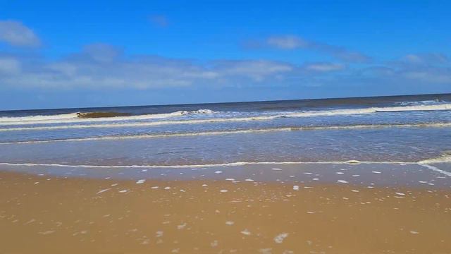 Hiking the Norfolk Coast, Beautiful Norfolk Seals 🇬🇧