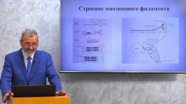 Физиология мышц и мышечного сокращения