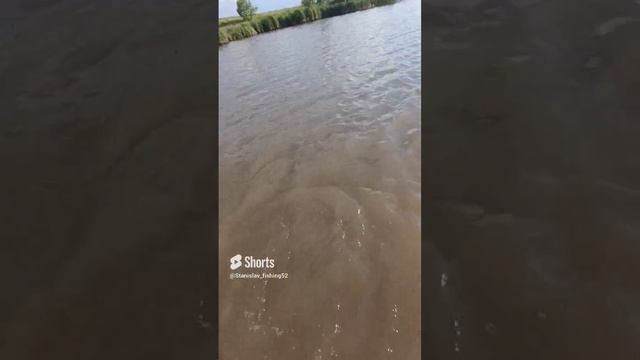 Карп на мормышинг
