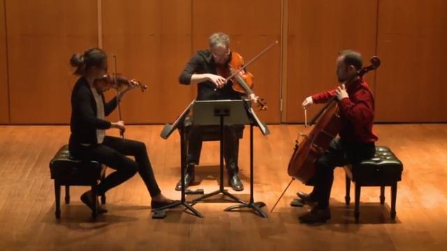 Michael Shingo Crawford | Desolation in Space | for string trio (original composition)