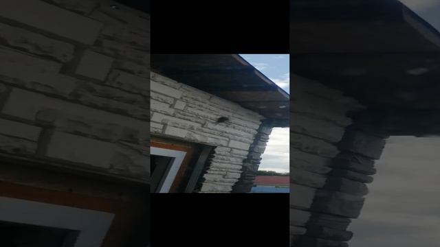 VID_20240806_171554.mp4