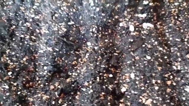 Колокольчик Карпатский и Ванильные облака посев???