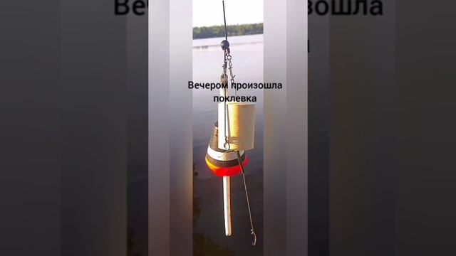 рыбалки, которые не попали на видео. часть 1