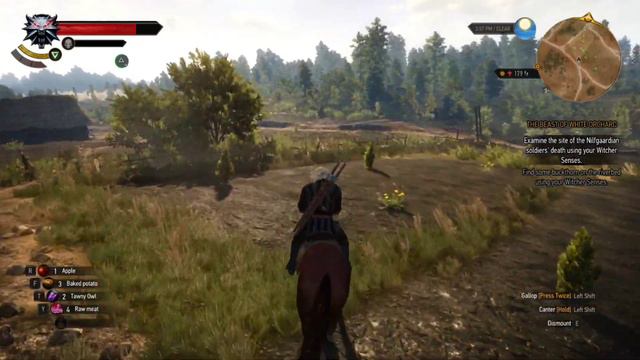 Fight with Royal Griffin | Witcher 3 | Walkthrough -2
