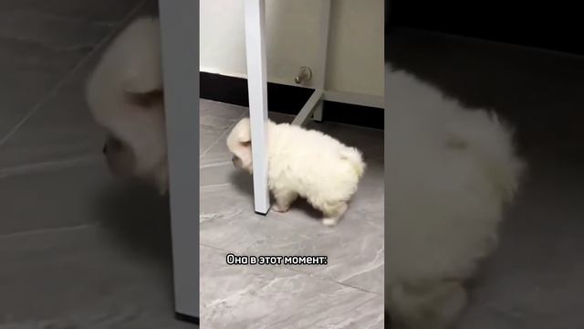 Как так получается 😁