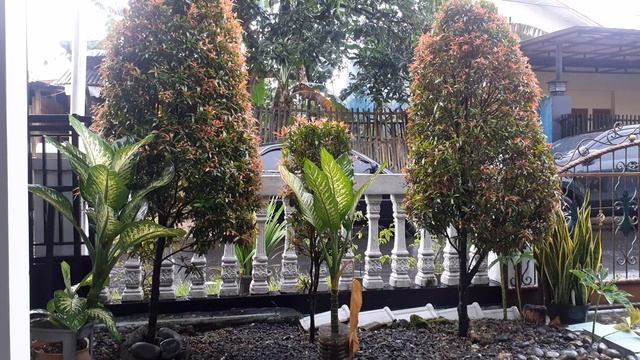 LUAR BIASA ‼️ Hujan Deras, Gemuruh Menguyur Kampung yang Tenang,kabut,Indah Alam Desanya Sejuk,sega