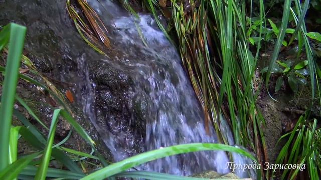  Журчание воды Горного ручья со Звуками Природы