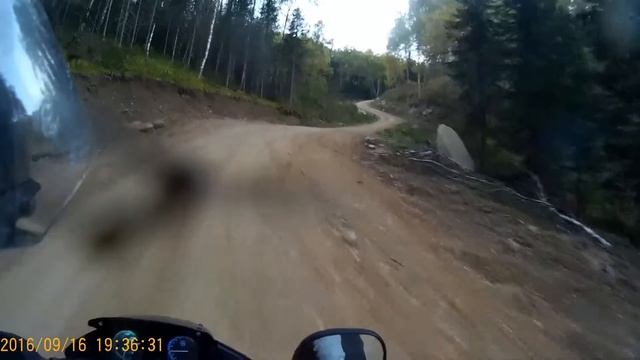 Мотовыходные 02 Белокуриха 2 до упора или танцующий комар...