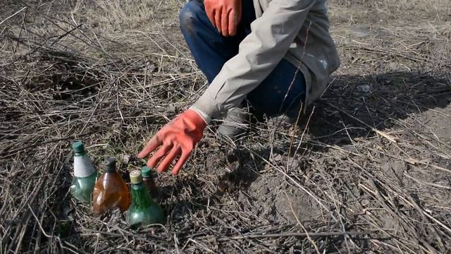 ? Как вывести хрен с участка. Какизбавитьсяотхрена