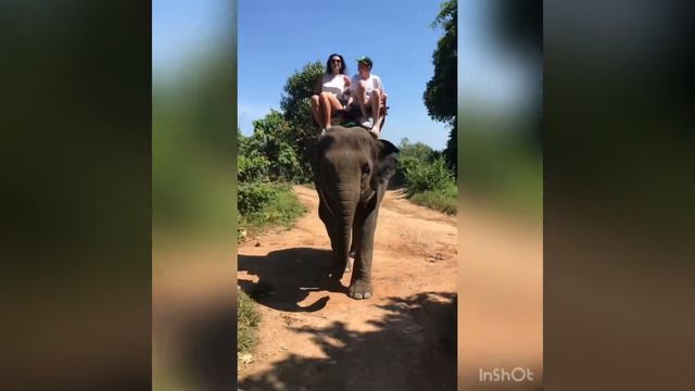 Смонтировала для вас крутое видео, но случайно удалила... материала не осталось🤷♀️Тайланд - бонус