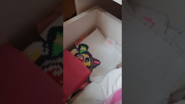 Хранение вещей моей собаки 🐶