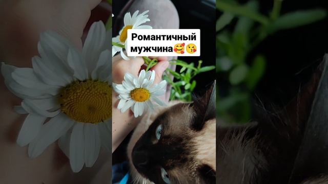 Романтичный мужчина 🥰😘