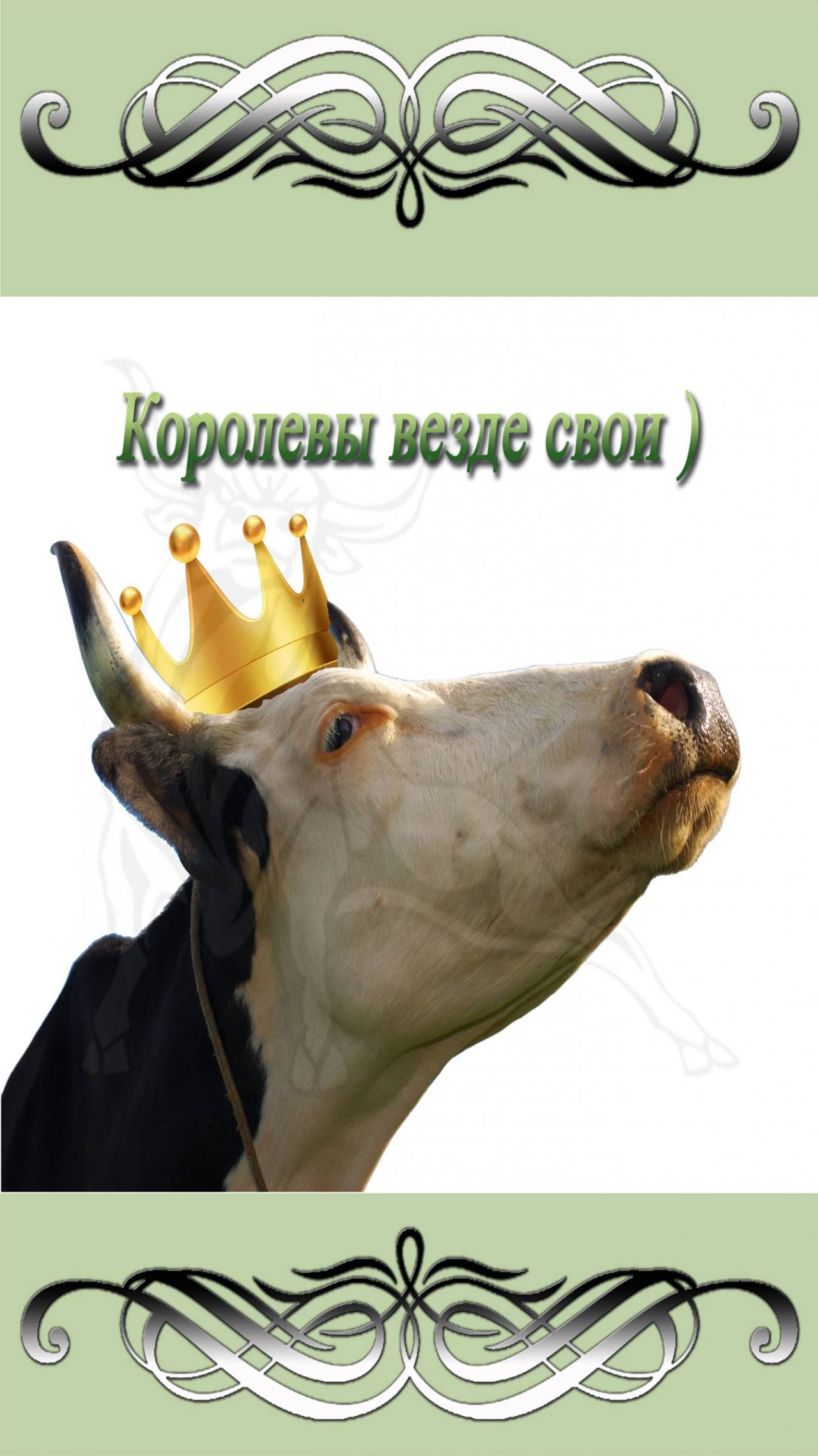 Королевы везде свои)