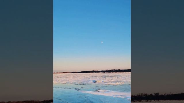 Поймал Нельму за яй😳 Архивное видео 5-ть лет назад.