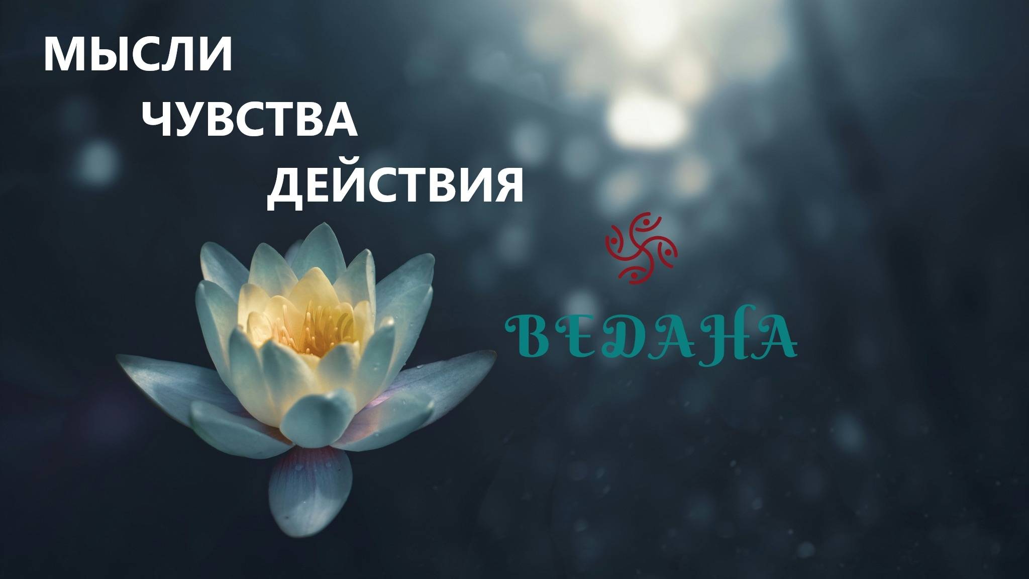 Как мужчина к вам относится? Что он думает о вас, что чувствует? Какие планы, что будет делать?