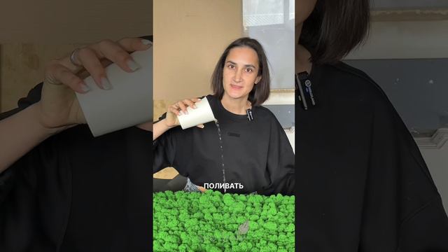 Преимущества стабилизированного мха🌿