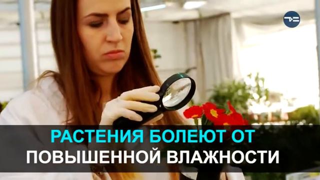 Цветочек, не болей!