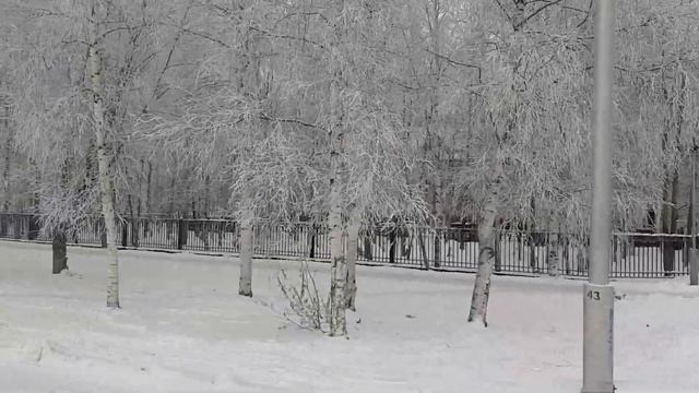 Нижневартовск. Улица 60 лет Октября.Декабрь 2020года.