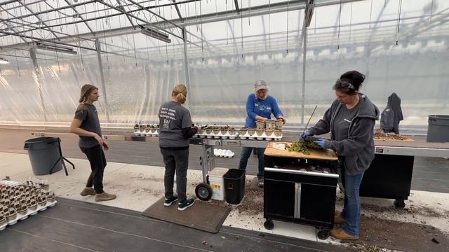 Planting and the Immintent Ice Storm