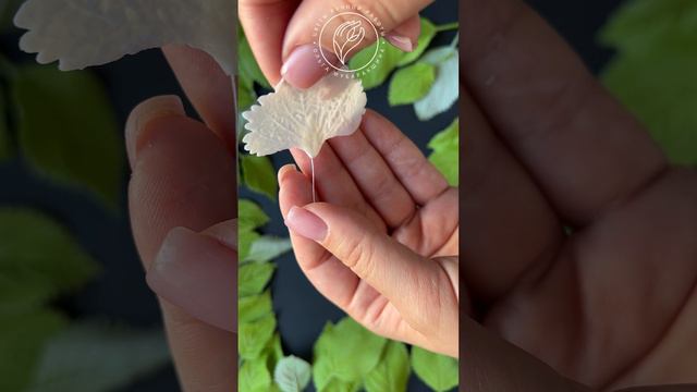 Моменты создания белой гортензии из холодного фарфора #ольгамубаракшина #обучениелепкецветов