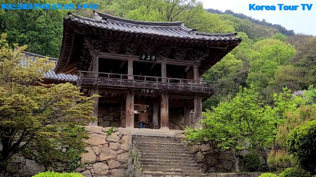 유네스코등재 산지승원 7곳 총정리