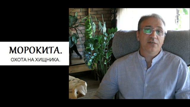 экстра-ментальное сознание2.mp4