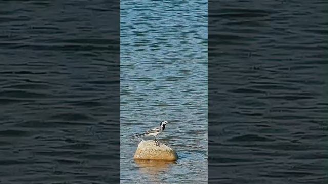 Отдых в "Тихом береге " с водой «dimmel»! Сюжет клиента нашей компании Светланы Р.