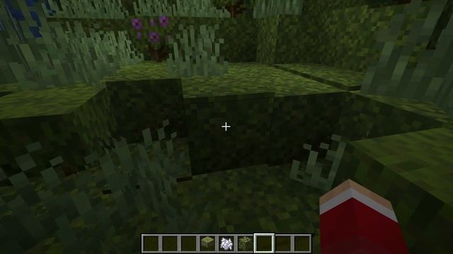 MINECRAFT | How to Get MOSS BLOCKS! 1.18.1 Tutorial