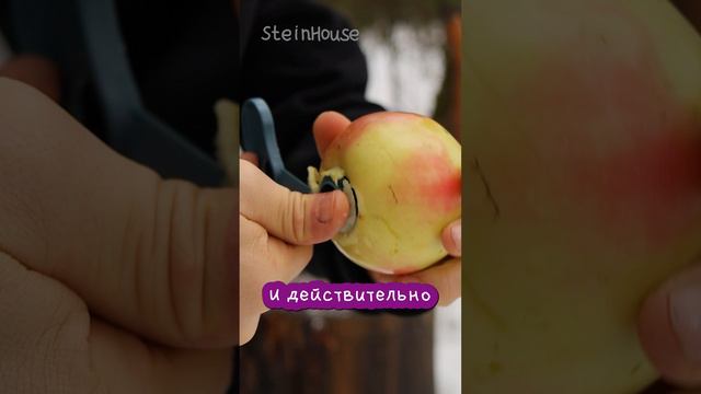 Спиральная нарезка яблока - Протестируем